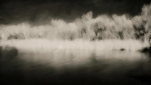 inkslake water trees shoreline infrared hoyar72 texas monchrome griselle sepia landscape painterly