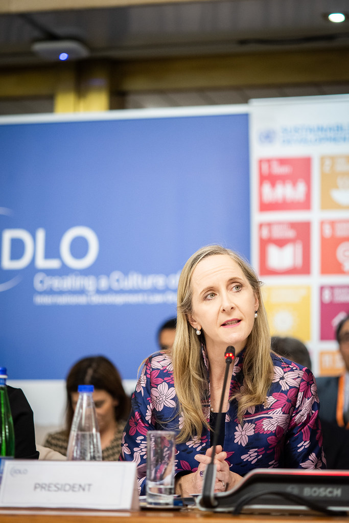 IDLO Assembly of Parties 2019