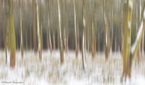 davidsnowdonphotography canoneos80d northyorkshire northyorkmoors codbeck osmotherley winter ice cold landscape icm abstract abstractreality naturalabstract