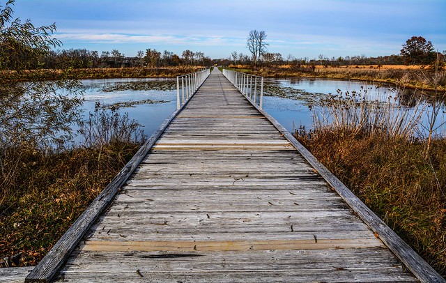 The Wetlands Boardwalk - Beckley Creek Park