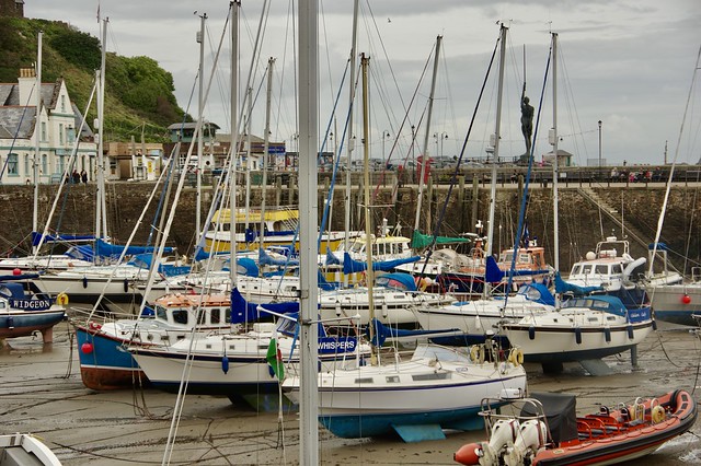 Yachts in the Harbour