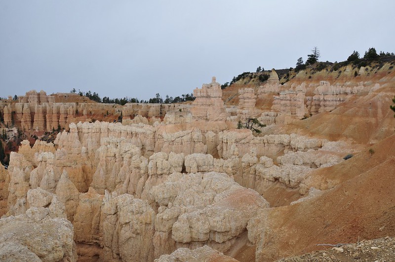 The Rim Trail South Of Fairyland Point ~ Bryce Canyon National Park