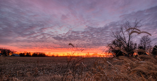 hdr indiana nikon nikond5300 outdoor clouds colorful evening farm field geotagged outside rural sky sunset tree trees