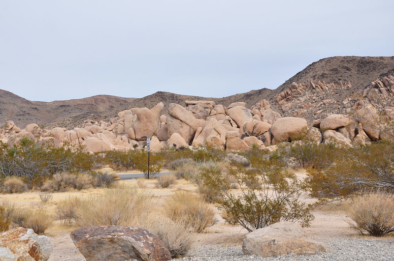 Pinto Basin Road ~ Joshua Tree National Park