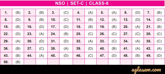 NSO Answer Key 2019-20 Class 6 Set C