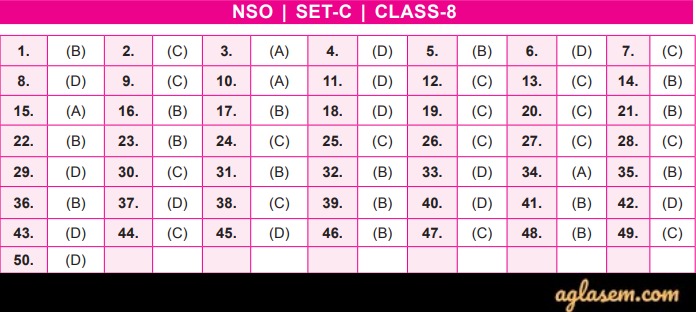 NSO Answer Key 2019-20 Class 8 Set C