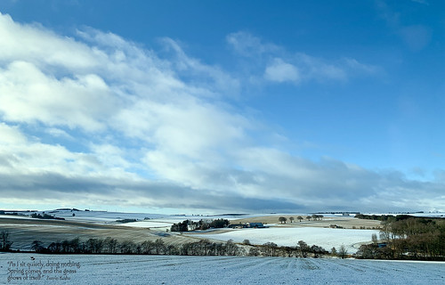 elisafox22 apple iphone xsmax ff fencefriday winter sunshine blue sky clouds bluesky landscape fields grasses farm trees outdoors morning haiku zenrinkushu aberdeenshire scotland elisaliddell©2019 htt htmt