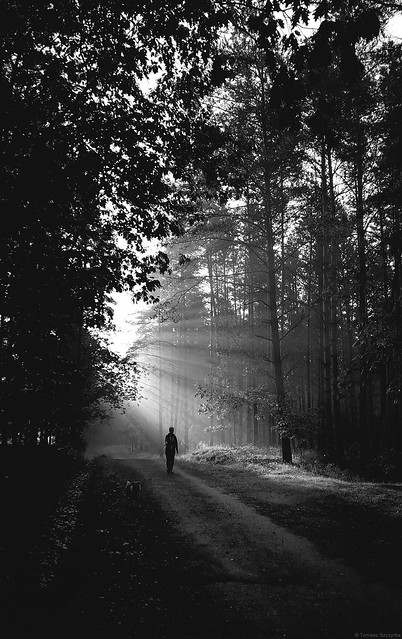 Mistycal forest - Nakło-Chechło 2019