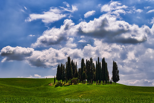 approvato quirico dorcia alberi cielo clouds sky tree outside cipressi toscana italia campagna cypresses tuscany italy
