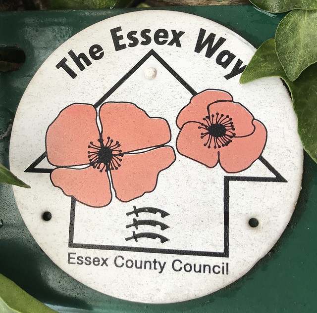 Walking the Essex Way