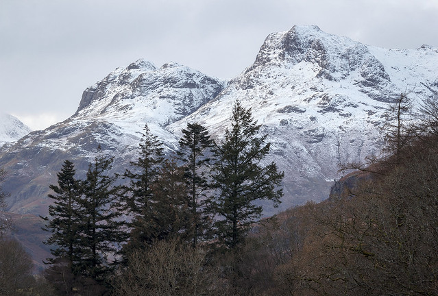 Langdale Pikes from near Elterwater, Great Langdale, Lake District National Park, Cumbria, UK