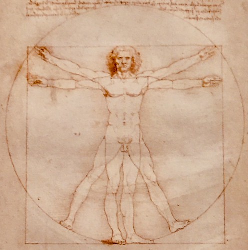 Débardeur Homme Escalade - Dessin Homme De Vitruve Grimpeur - Coton Léger Pour Bloc, Salle, Entraînement - 9