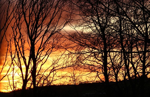 sunrise light morning tree sky bishopauckland