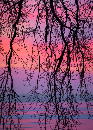 sunrise morning vertical tree ice lakemonona wisconsin madison midwest canoneosrebelt1i canonef135mmf2lusm nopeople outdoors