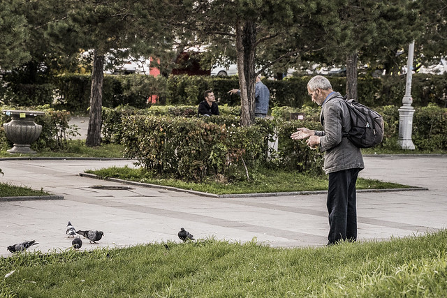Old man and pigeons
