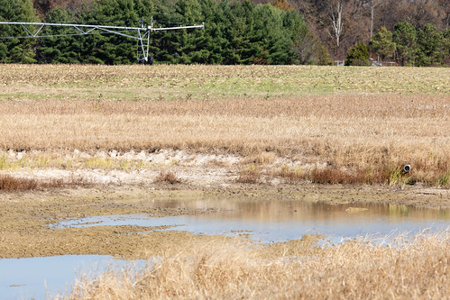 Farmland in Caroline County, Md. | by chesbayprogram