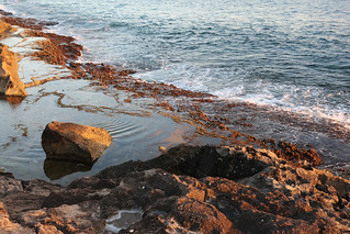 marina shoreline tidepools and salt deposits