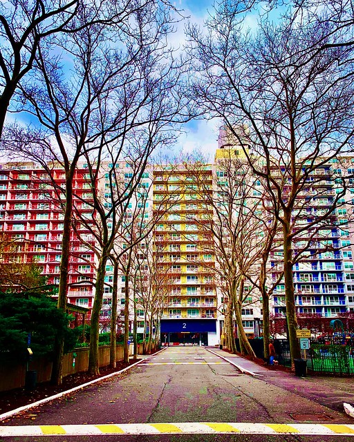 Primary Blocks - Washington Square NYC