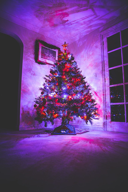 354/365 - The Christmas Tree