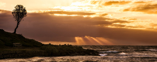 rays beach sunset brighton clouds bay portphillipbay tree water sea