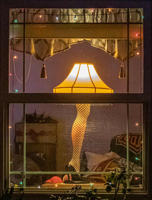 Holiday Light Display