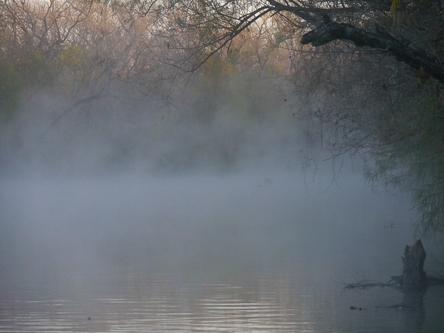 Mist on River