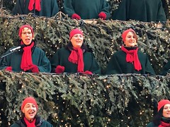 Singing Christmas Tree 2019