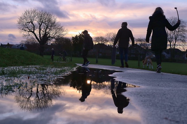 Puddle in the Park....