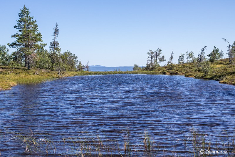 Ikkunalampi, Riisitunturi