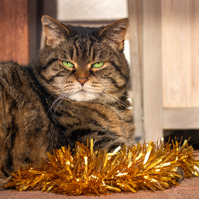Only a flat tinsel is a good tinsel !