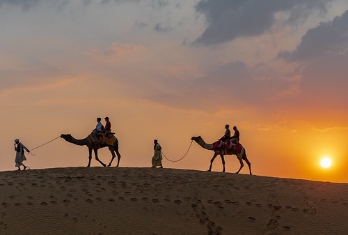 jaisalmer india rajasthan thegoldencity goldenfort camel camelride sand dunes sunset tourist tourism desert thardesert camelsafari samdesert samsanddunes