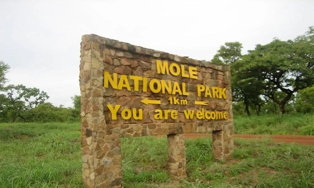 mole national park hotel