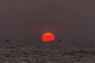 India - Sunset Arabian Sea - Kerala - Mararikulam - 2477