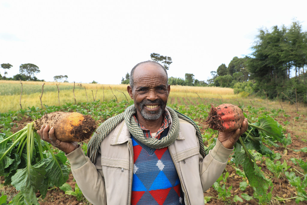 Tesfaye displays fodder-beat harvest in his farm