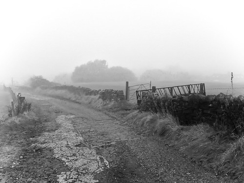 wishingyouallalovelychristmaseve xmaseve2019 lancashire landscape lane farmland fog iphone