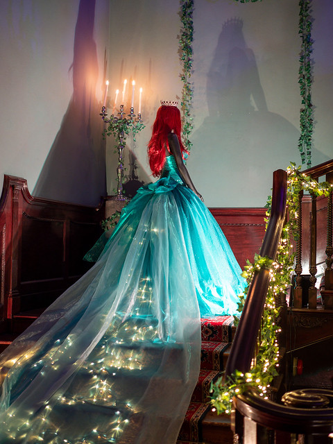 Cinderella  Enchanted Christmas