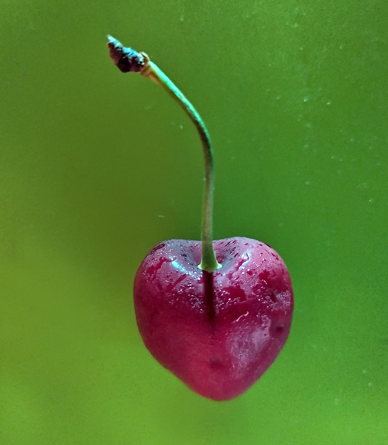A cherry heart, especially for Sigrid