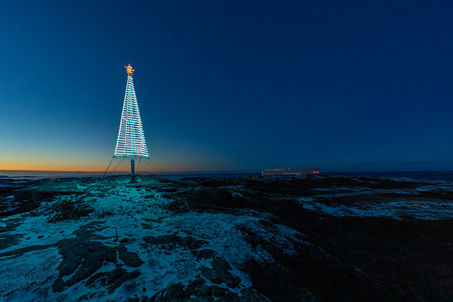 Merry Christmas | Fogo Island | Christmas Tree at the Fogo Island Inn | Newfoundland