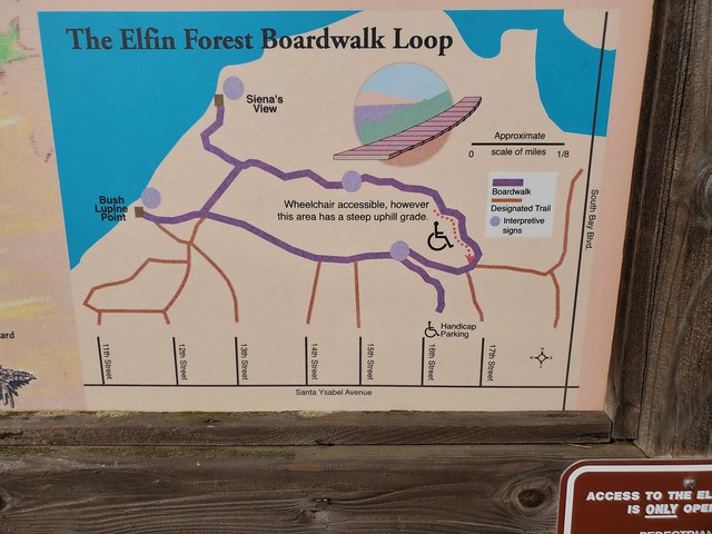 The Elfin Forest Boardwalk Loop