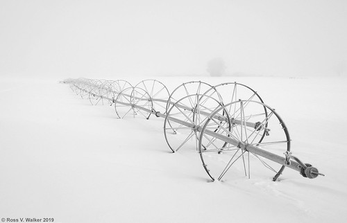 irrigation wheels circles fog frost cold snow winter montpelier idaho monochrome blackandwhite field pentaxart us30