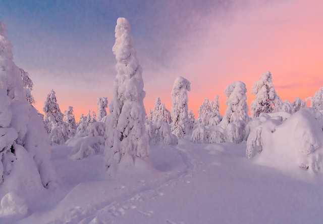 Lovely Lapland
