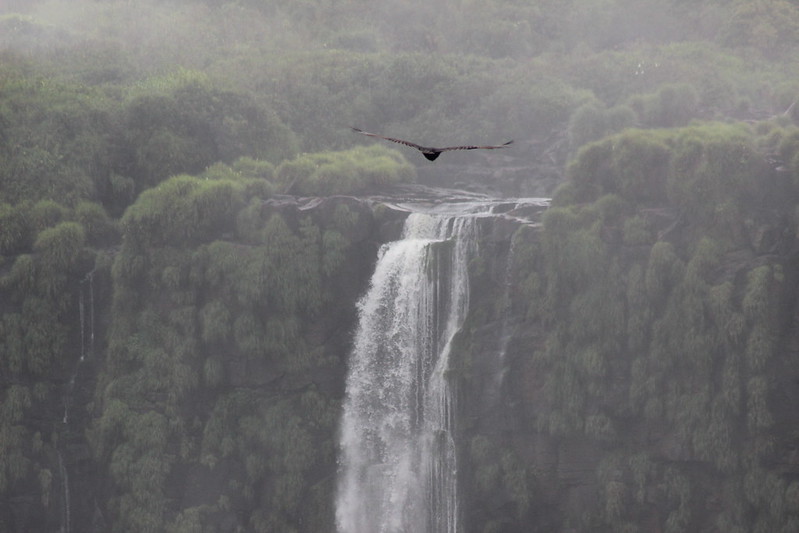 Brazilian Iguaçu Falls