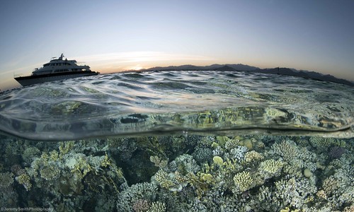 splitshot redsea overandunder reef coral sunset jeremysmithphotographycouk jeremysmithphotography jeremysmith underwaterphotography sharmelsheikh
