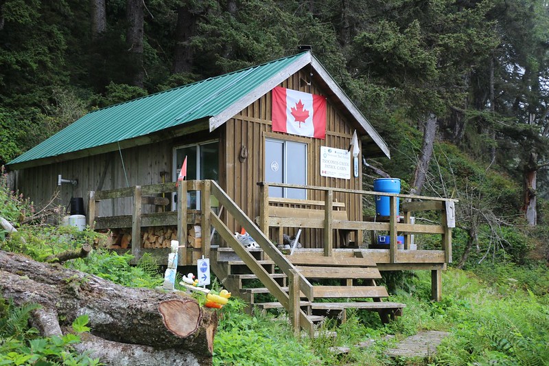 The Guardian Cabin at the Tsocowis Creek Campground on the West Coast Trail - but nobody was home