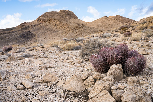 South Nopah Wilderness