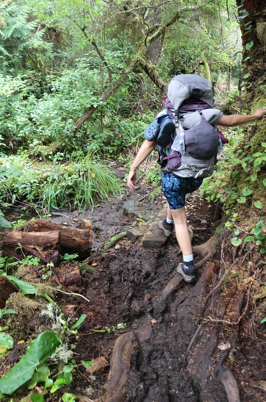Sometimes the West Coast Trail is a constant battle against sinking into the mud, using makeshift steps