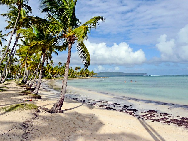 Rép. Dominicaine, la plage sous les palmiers à Samana