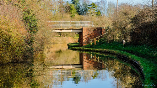 stevestevenhartcoventryunitedkingdomcanon5d4 christmas day walk 2019 rugby england unitedkingdom canal brinklow ansty nettlehill steve hart boddle steven bruce wyke road wyken coventry united kingdon great britain canon 5d mk4 100400mm is usm ii 2470mm standard wild wilds wildlife life nature natural bird birds flowers flower fungii fungus insect insects spiders butterfly moth butterflies moths creepy crawley winter spring summer autumn seasons sunset weather sun sky cloud clouds panoramic landscape