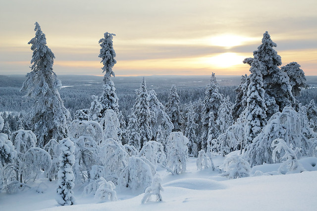 Winter landscape - Lapland - Finland