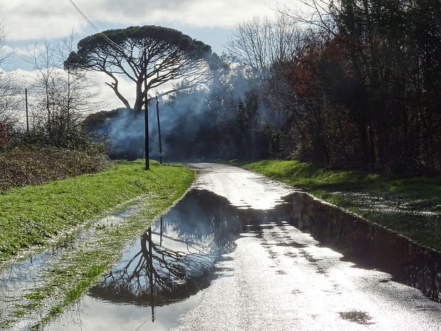 inondation et reflet du pin parasol....fumée de celui qui se consume toujours